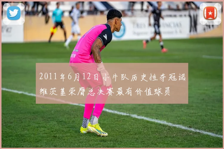2011年6月12日小牛队历史性夺冠诺维茨基荣膺总决赛最有价值球员
