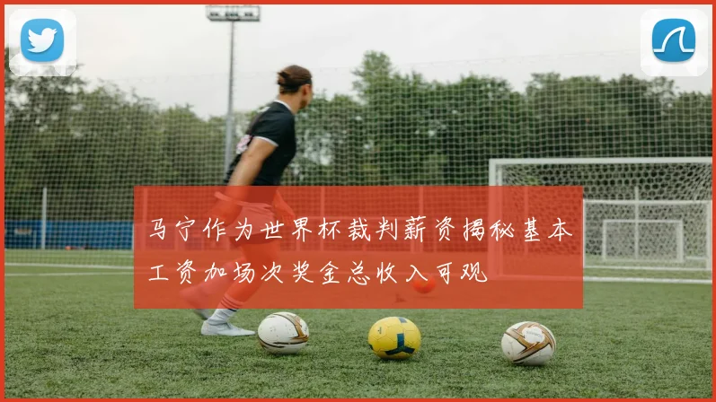 马宁作为世界杯裁判薪资揭秘基本工资加场次奖金总收入可观