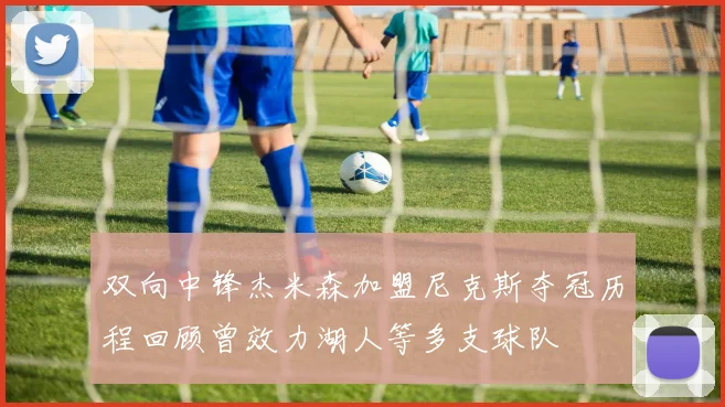 双向中锋杰米森加盟尼克斯夺冠历程回顾曾效力湖人等多支球队